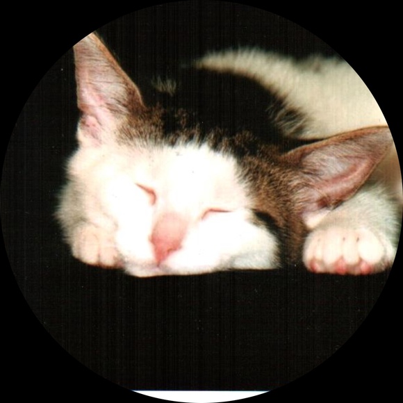 luckycat41